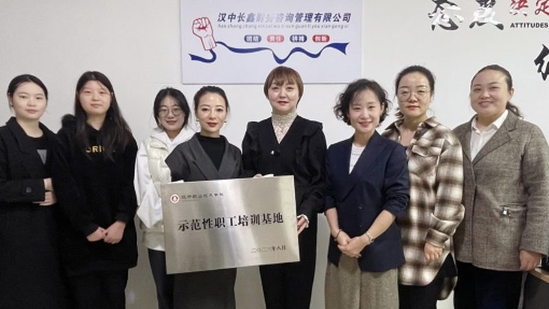 公司章程一致行动人条款：构建稳健股权结构的基石**