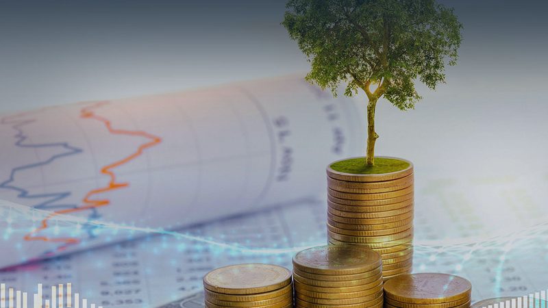 并购咨询，价格背后的价值考量